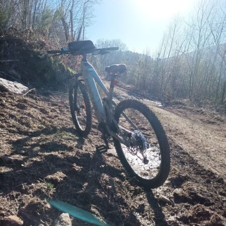 IMG_20210221_102105 (2) IMG_20210221_102105 (2)